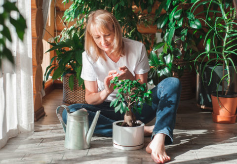 Správné zalévání = udržitelné zahradničení. Víme, jak rostlinám dopřát to nejlepší a zároveň šetřit vodou! 