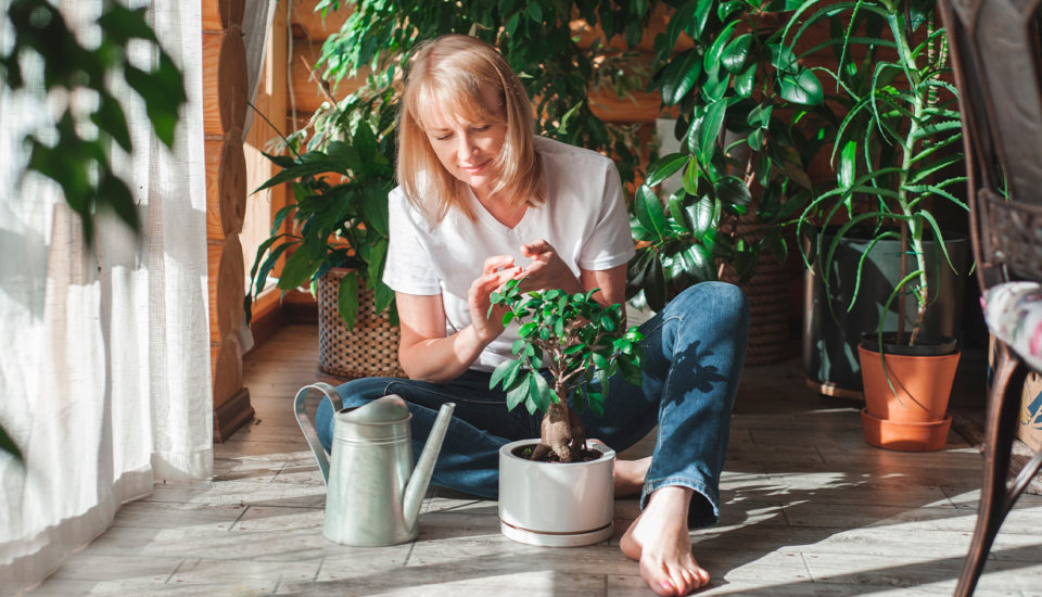 Správné zalévání = udržitelné zahradničení. Víme, jak rostlinám dopřát to nejlepší a zároveň šetřit vodou! 