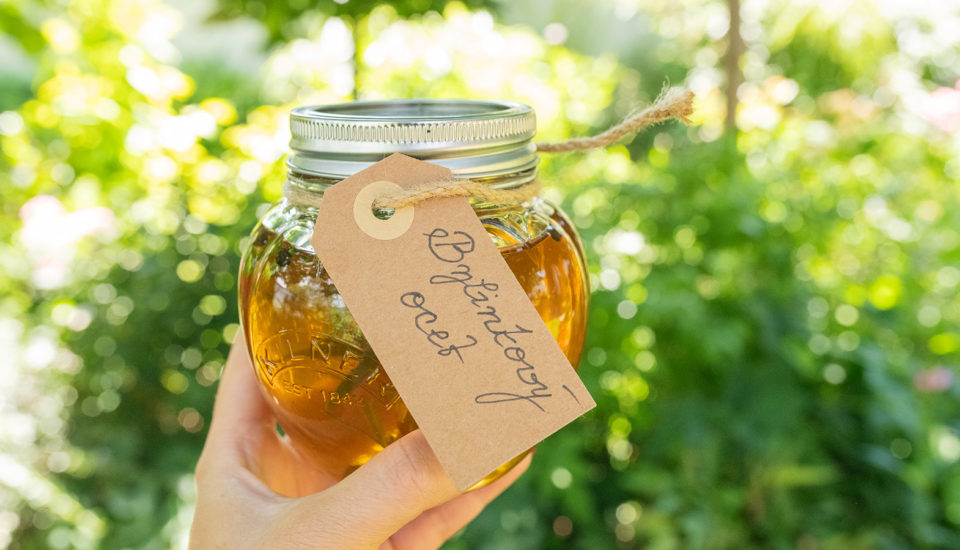 Vyrábím si vlastní bylinný ocet, který dělá zázraky nejen v kuchyni