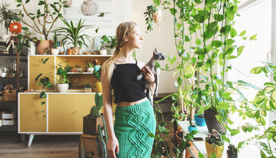 Pokojovky podle feng šuej: Kde je správně umístit, aby kvetly i vaše nervy