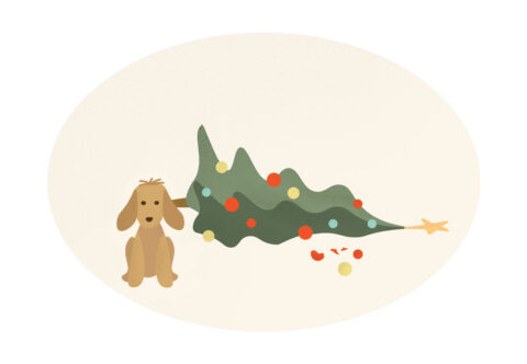 Maminko, ty nám celá hoříš aneb Jak přežít vánoční přípravy bez úrazu a návštěvy pohotovosti