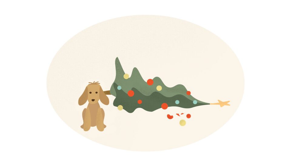 Maminko, ty nám celá hoříš aneb Jak přežít vánoční přípravy bez úrazu a návštěvy pohotovosti