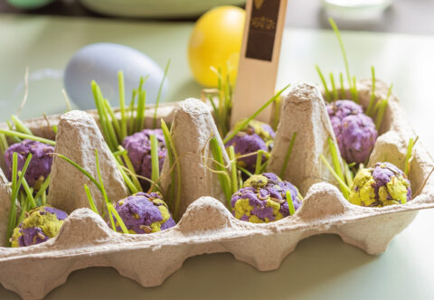 DIY návod na semínkové bomby: tip na netradiční výslužku pro koledníky