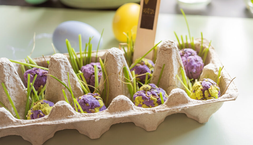 DIY návod na semínkové bomby: tip na netradiční výslužku pro koledníky